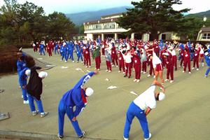 腹筋を鍛えるサンドバッグがあります